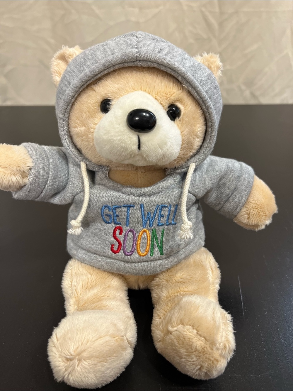 Ganz Teddy Bear with Hoodie Get Well Soon Plush